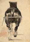 London draft horse with its harness seen from the rump