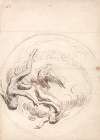 Study for a Circular Ceiling Decoration