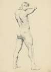 Study of Standing Male Nude
