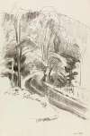 Study of a Road in Mountain Forest