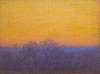 Flight Into Golden Sky