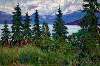 Alaskan Pines
