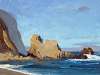 Bird Rock