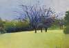 Crabapple Trees in Tennessee