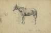 An army mule. September 28, 1863