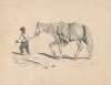 Pencil exercise, no. 4 – boy leading horse