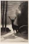 Stag in the Moonlight
