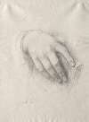 Study of Hands