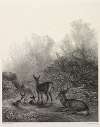 Deer at Rest c. 1860