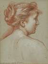 Study of a female head, seen from behind