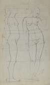Graph of Female Nude Proportions as Seen from the Profile and En Face
