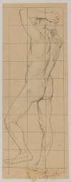 Male Nude Standing with Back Turned and Hands Clasped on His Head