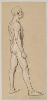 Male Nude Standing