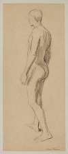 Male nude