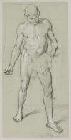Nude Male with a Bunch of Plants in His Left Hand