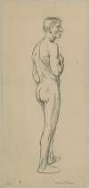 Nude mane depicted from the back