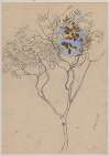 Study of an orange tree from the vicinity of Sorrento