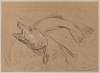Study of Fish