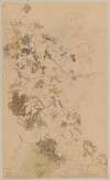 Study of ivy; contour of satyr’s head