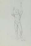 Study of male nude