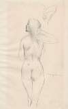 Female nude