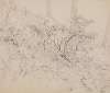 Study of foliage in a wood