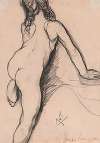 Nude adolescent seen from behind