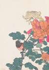 Keinen kachō gafu, Pl.41