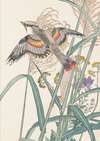 Keinen kachō gafu, Pl.42