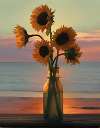 Sunflowers at Sunrise