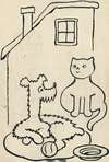 I Had a Dog and a Cat Pl 22
