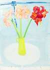 amaryllis, 105 bowery