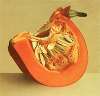 Slice of Pumpkin
