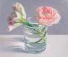 Two Pink Tulips in a Glass