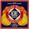 Acme Brand Indian River Citrus Fruit Label