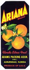 Ariana Brand Florida Citrus Fruit Label