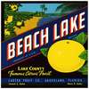 Beach Lake Brand Citrus Label