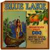 Blue Lake Brand Citrus Label