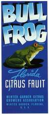 Bull Frog Brand Florida Citrus Fruit Label