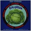 Fla-Green Brand Green Cabbage Label