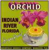 Grapefruit Label for Orchid