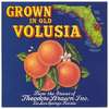 Grown in Old Volusia Can Label
