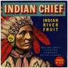Indian Chief Fruit Label