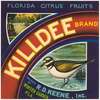 Killdee Brand Florida Citrus Fruit Label