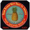 Label for Orange Lake Pineapple Oranges – Black