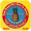 Label for Orange Lake Pineapple Oranges – Yellow