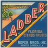 Ladder Brand Florida Citrus Fruit Label