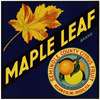 Maple Leaf Brand Citrus Label