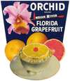 Orchid Brand Florida Grapefruit Label