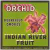 Orchid Citrus Label